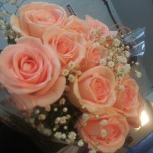 Meet your Posher, Nancy